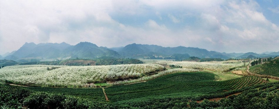 5b6d5d93c0f97.jpg 005HYgkagy6LfgGWUbHc5.jpg