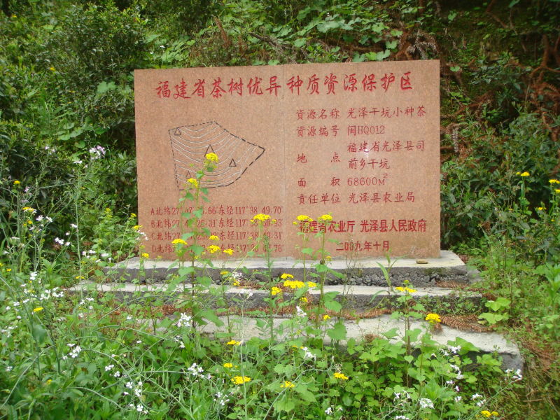 5b6d5eadeae40.jpg 301356289309691882.jpg