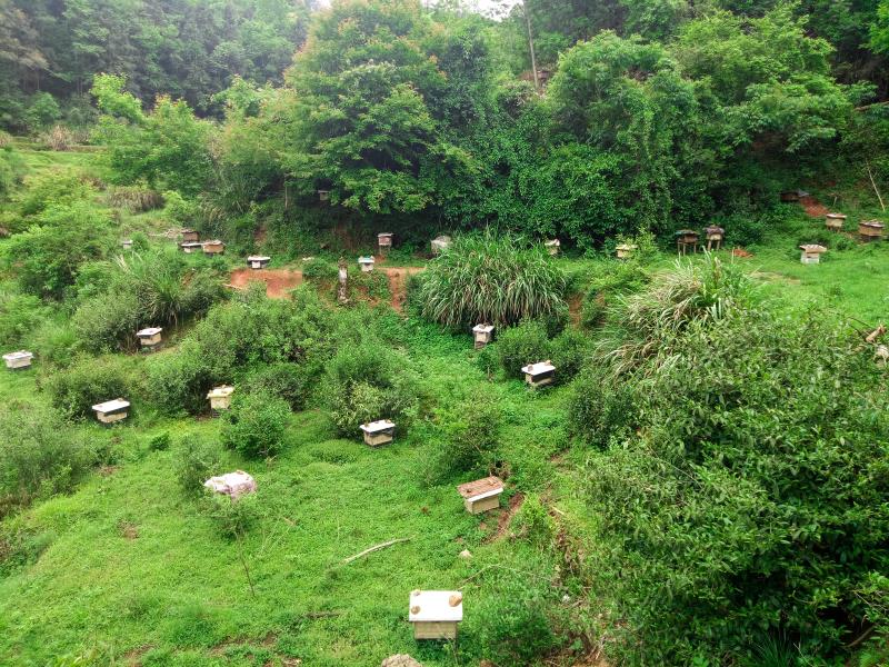 5b6d5f88dc584.jpg 210718129660311581.jpg