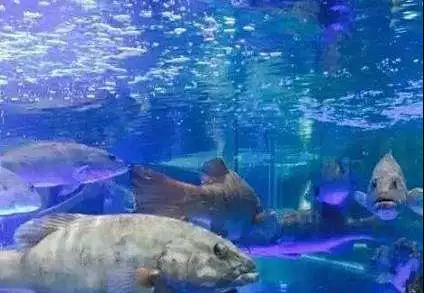 5b701ee5d0d78.jpg 微信图片_20180812194231.jpg