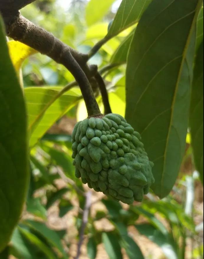 5b703bf4da3b4.jpg 微信图片_20180812215312.jpg