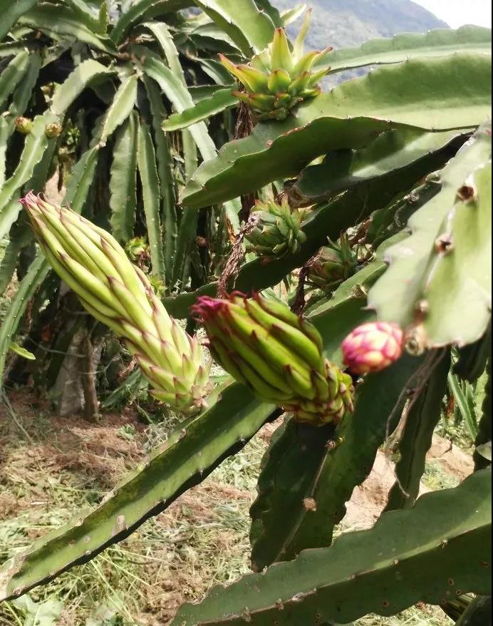 5b703c19aab93.jpg 微信图片_20180812215319.jpg