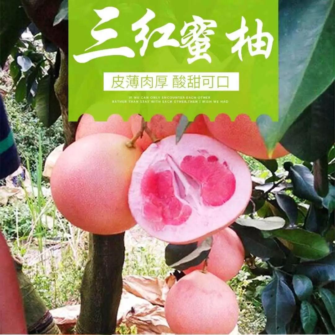 5b8606b7f26a5.jpg 微信图片_20180829103147.jpg